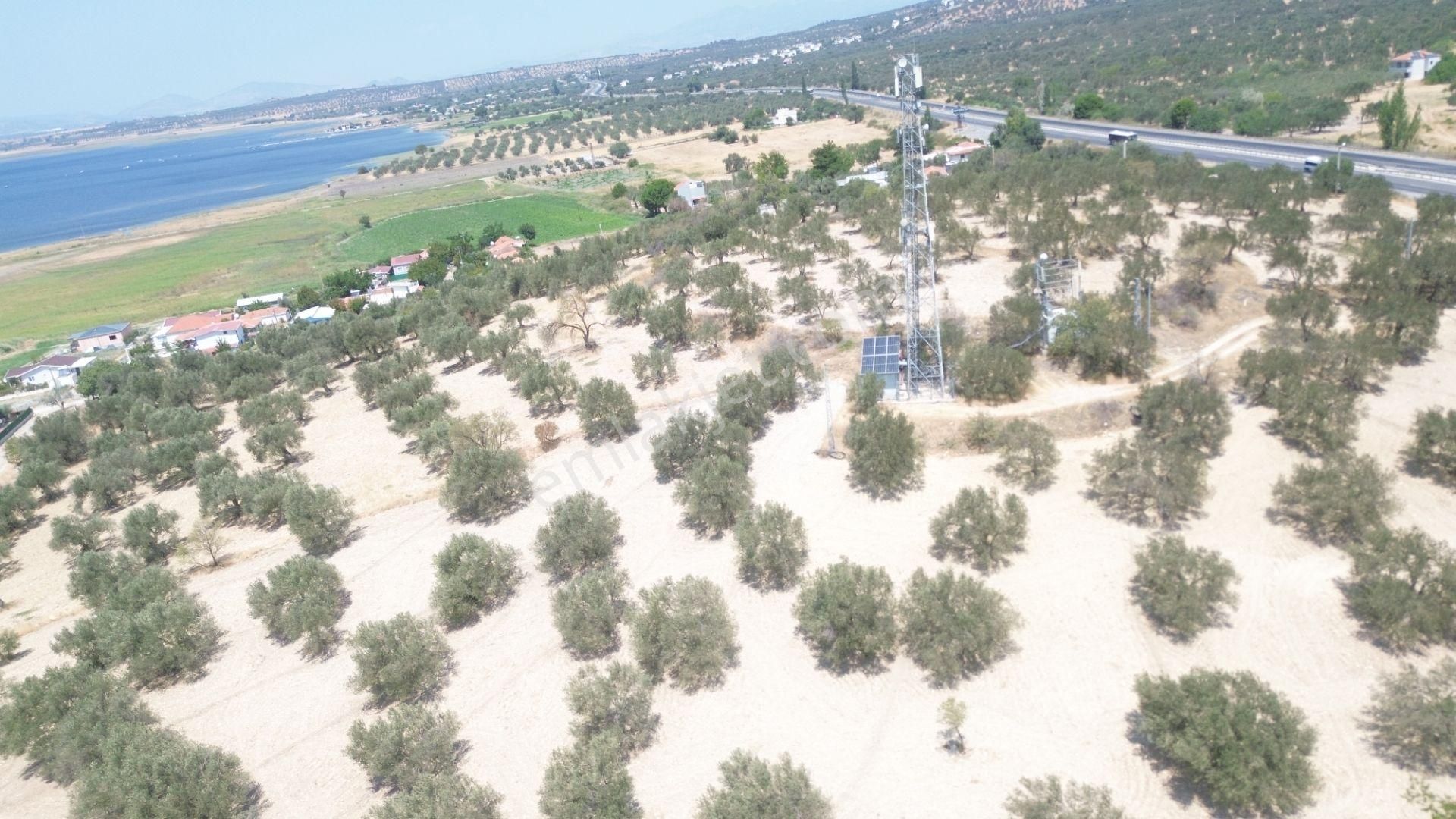 Turyap'tan Aliağa'da Denize Yakın Satılık İmarlı Arsa - Görsel 9