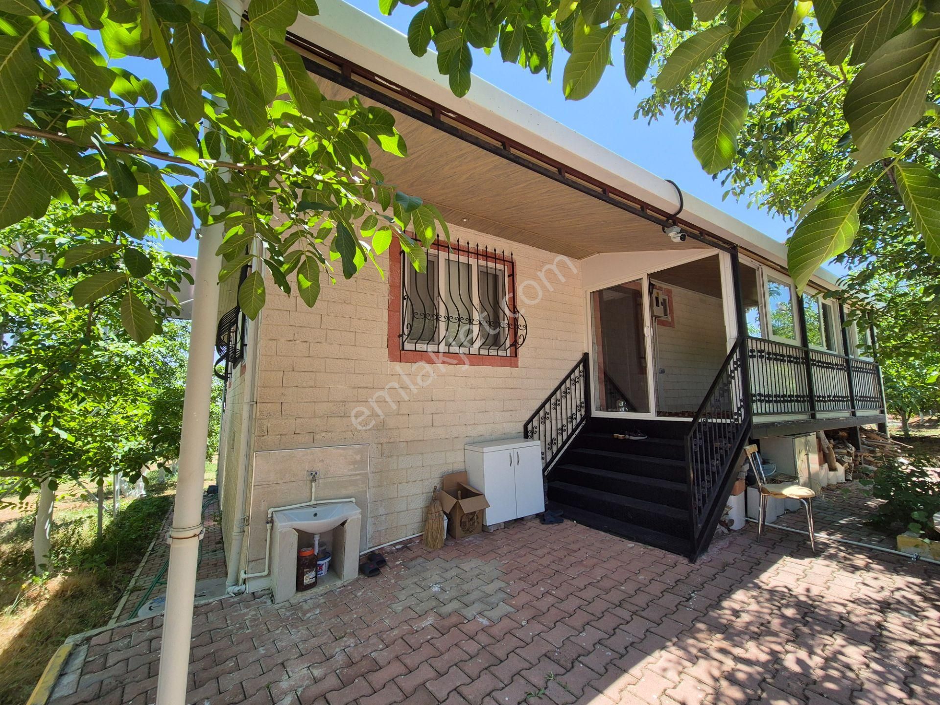 Yeşilyayla'da Satılık 19.759m² Ceviz (chandler) Bahçesi Ve Evi - Görsel 9