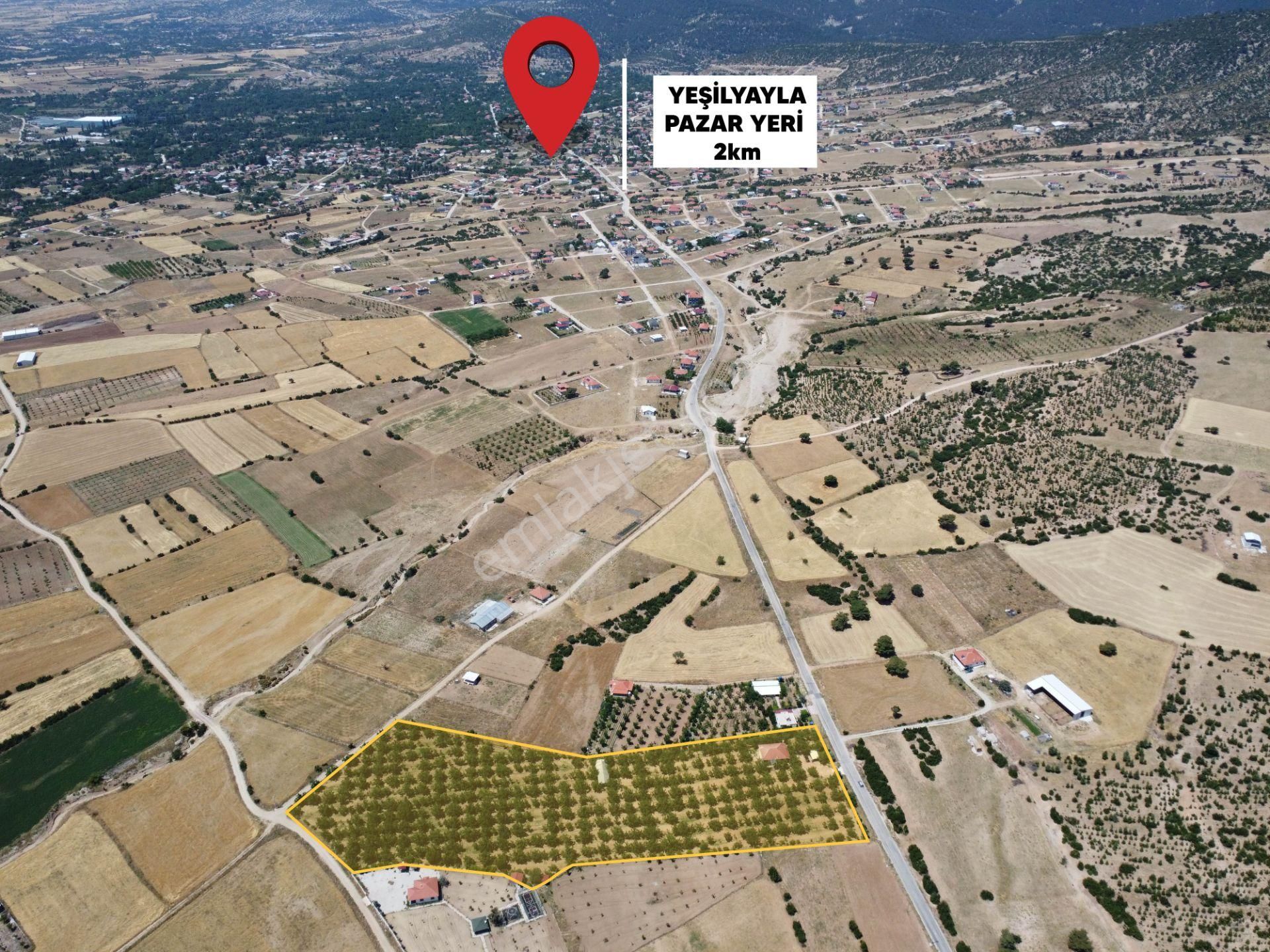 Yeşilyayla'da Satılık 19.759m² Ceviz (chandler) Bahçesi Ve Evi - Görsel 3