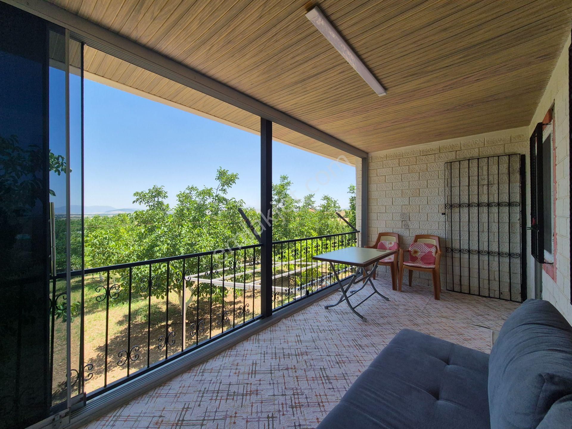 Yeşilyayla'da Satılık 19.759m² Ceviz (chandler) Bahçesi Ve Evi - Görsel 27