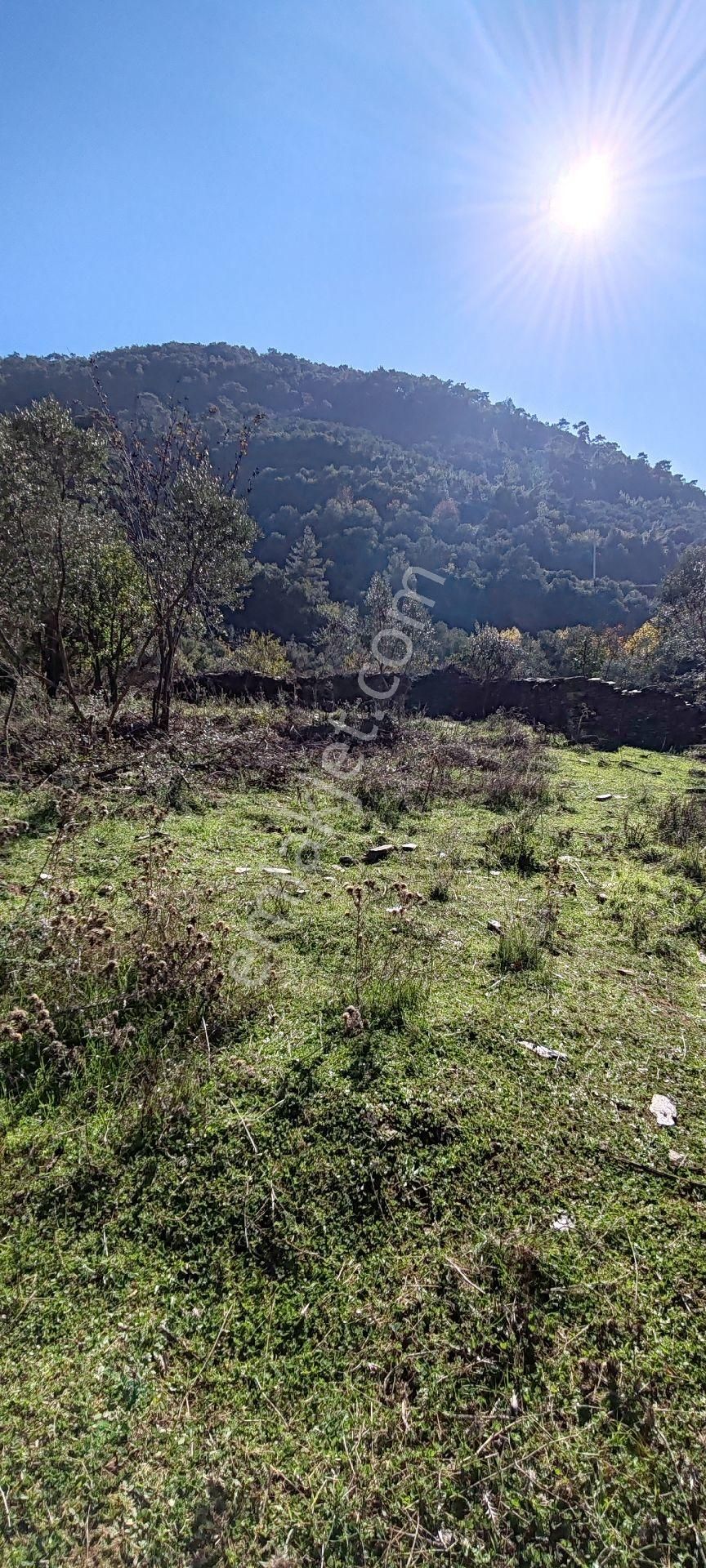 İzmir Bayındır Sarıyurt Mahallesinde Dere Kenarı Düz Konumda 287 M² Bahçe Satılıktır - Görsel 14