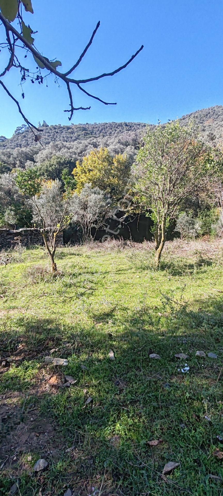 İzmir Bayındır Sarıyurt Mahallesinde Dere Kenarı Düz Konumda 287 M² Bahçe Satılıktır - Görsel 8