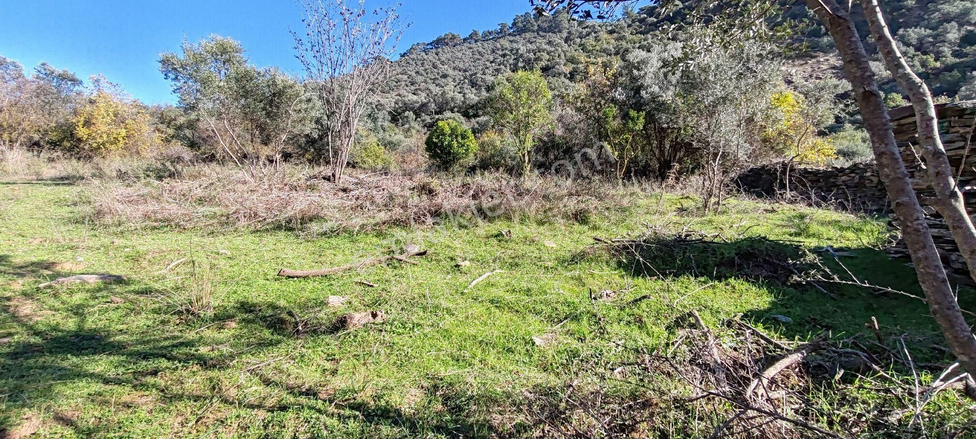 İzmir Bayındır Sarıyurt Mahallesinde Dere Kenarı Düz Konumda 287 M² Bahçe Satılıktır