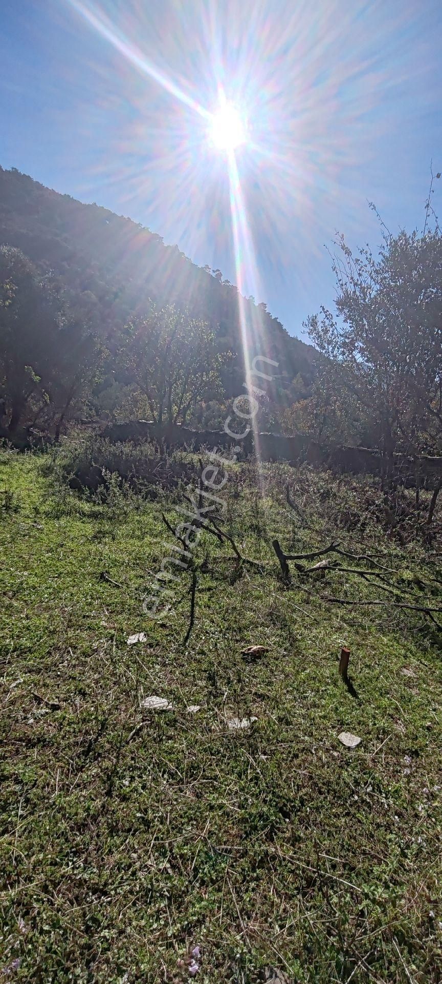 İzmir Bayındır Sarıyurt Mahallesinde Dere Kenarı Düz Konumda 287 M² Bahçe Satılıktır - Görsel 6