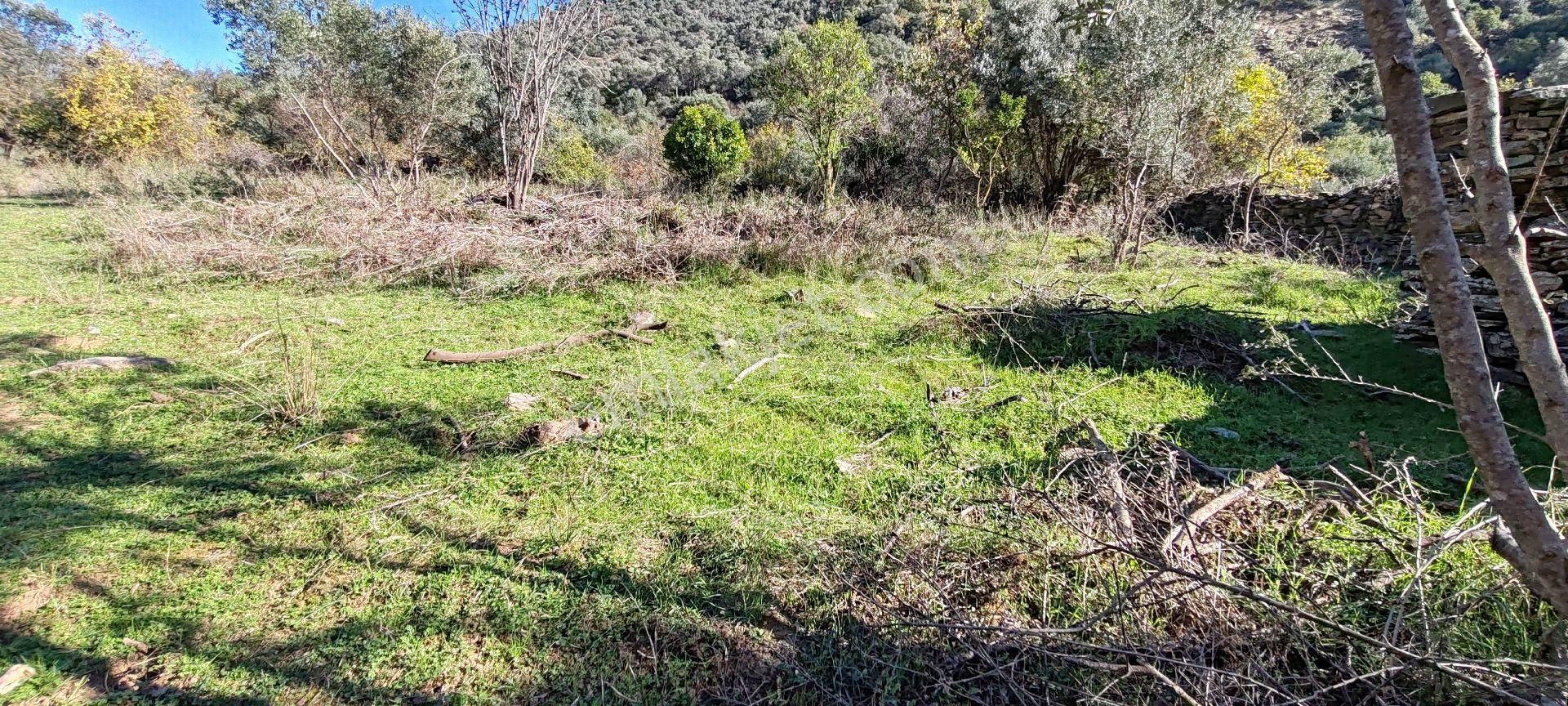 İzmir Bayındır Sarıyurt Mahallesinde Dere Kenarı Düz Konumda 287 M² Bahçe Satılıktır - Görsel 4