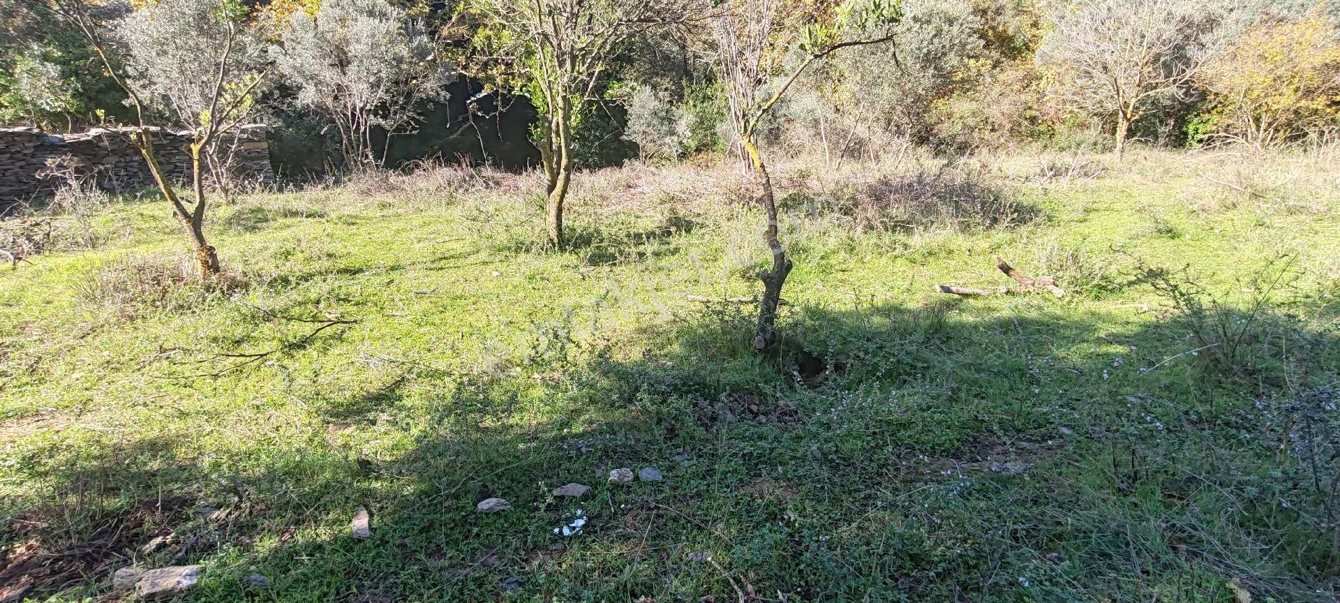 İzmir Bayındır Sarıyurt Mahallesinde Dere Kenarı Düz Konumda 287 M² Bahçe Satılıktır - Görsel 7