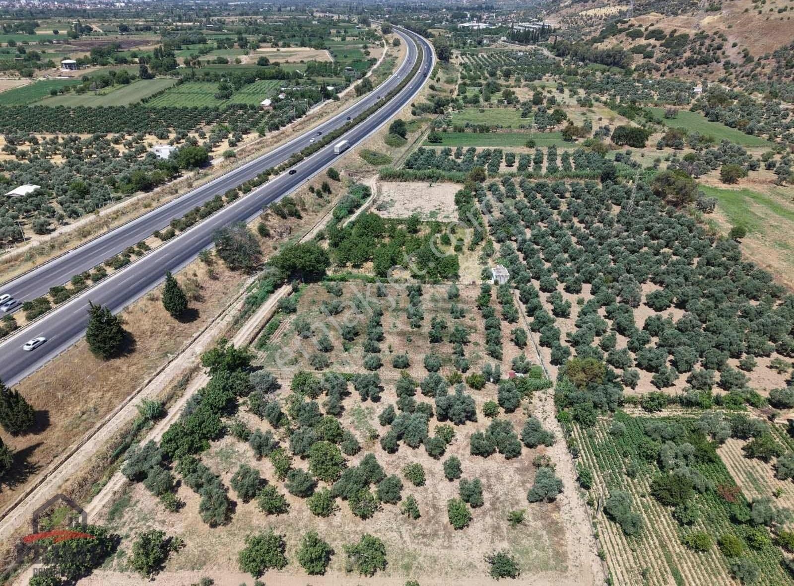 Aydın Efeler Kızılcaköy De Satılık 3.150 M2 Hisseli Tarla