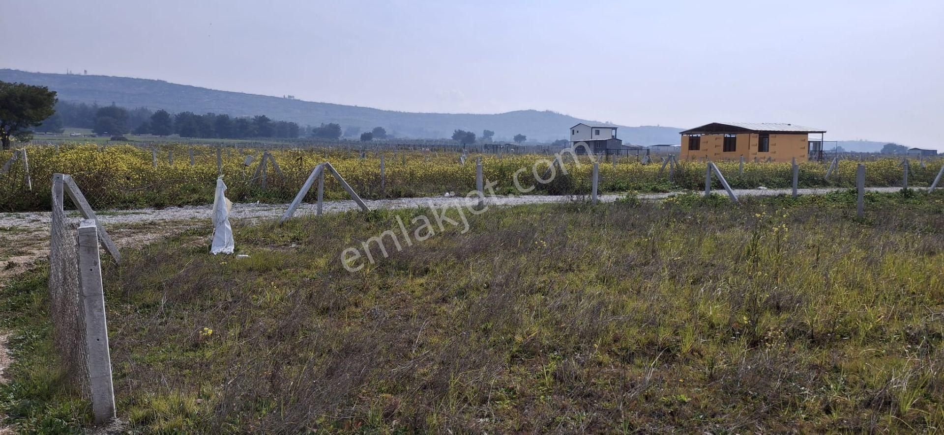 Bal Gayrimenkul- Elektrik Su Hazır Noter Satışlı 270 M2 Bahçe - Görsel 14