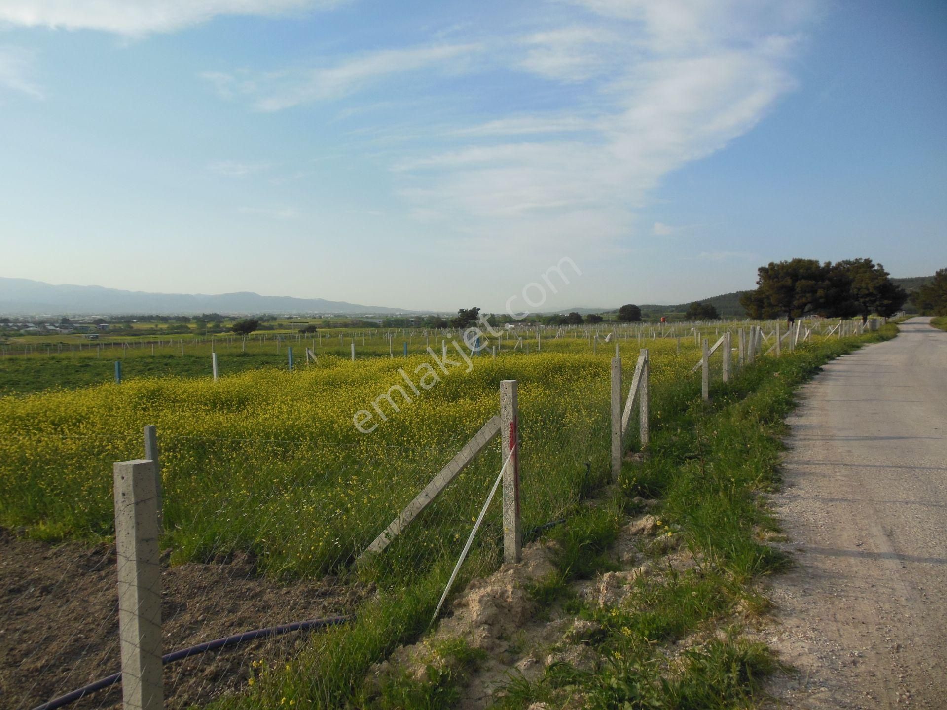 Bal Gayrimenkul- Elektrik Su Hazır Noter Satışlı 270 M2 Bahçe - Görsel 3