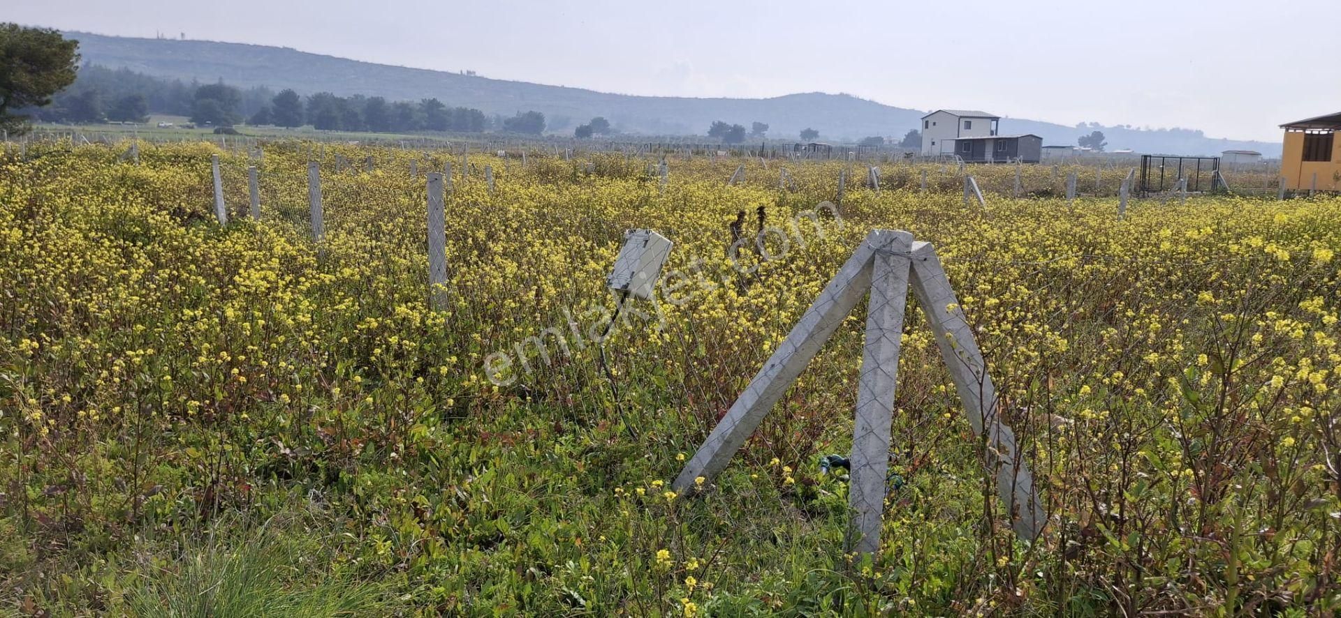Bal Gayrimenkul- Elektrik Su Hazır Noter Satışlı 270 M2 Bahçe - Görsel 19