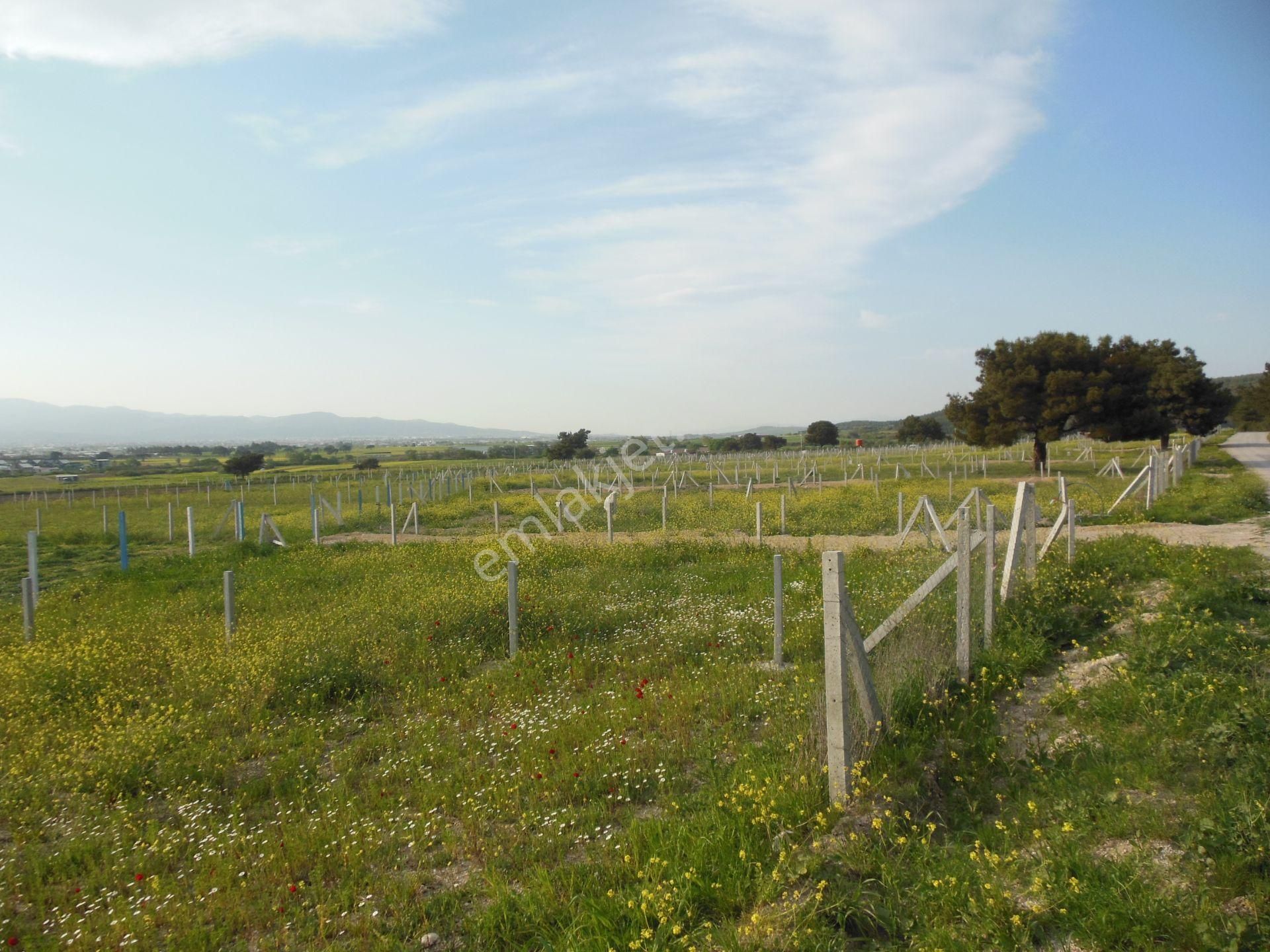 Bal Gayrimenkul- Elektrik Su Hazır Noter Satışlı 270 M2 Bahçe - Görsel 4