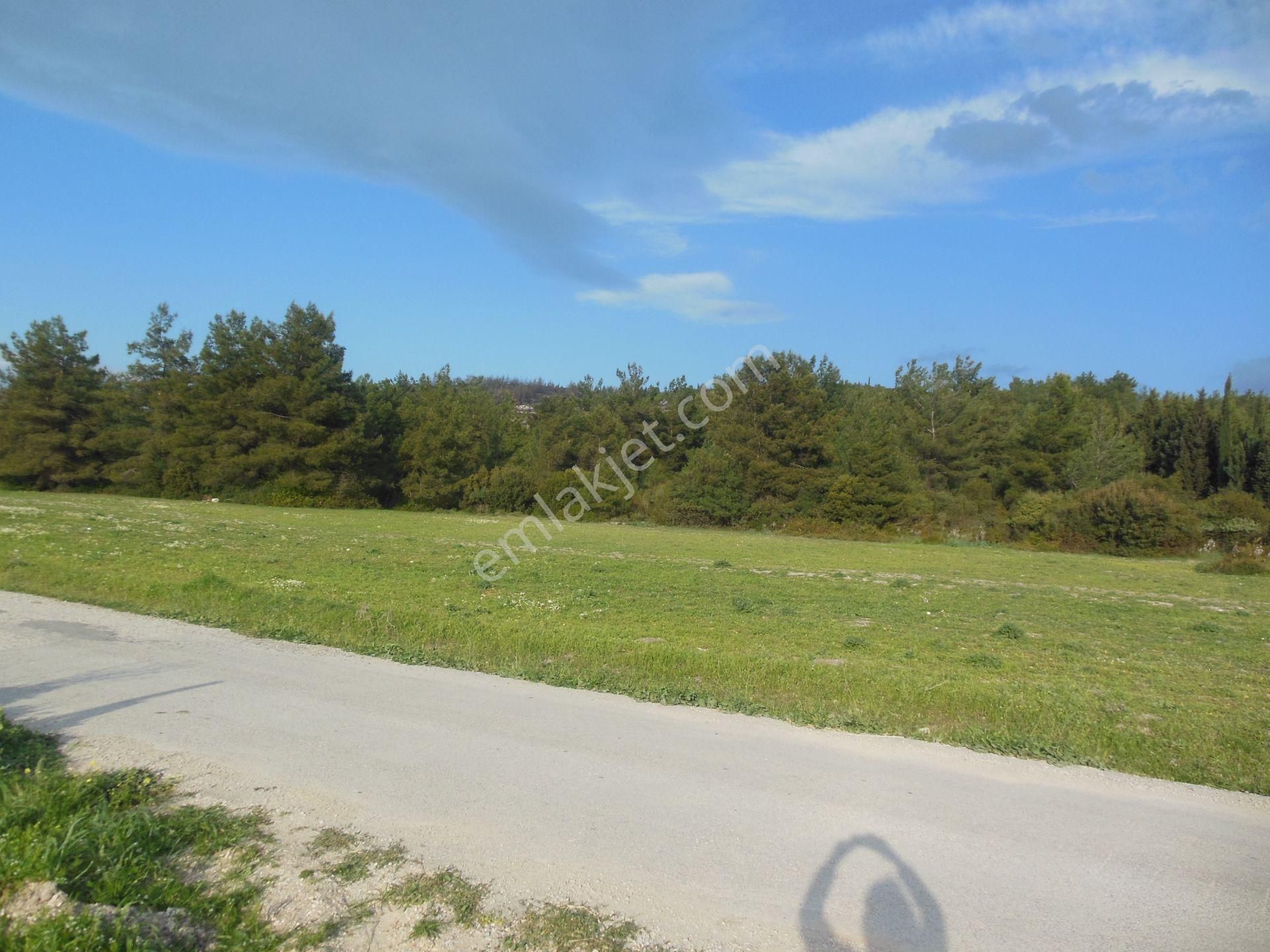 Bal Gayrimenkul- Elektrik Su Hazır Noter Satışlı 270 M2 Bahçe - Görsel 11