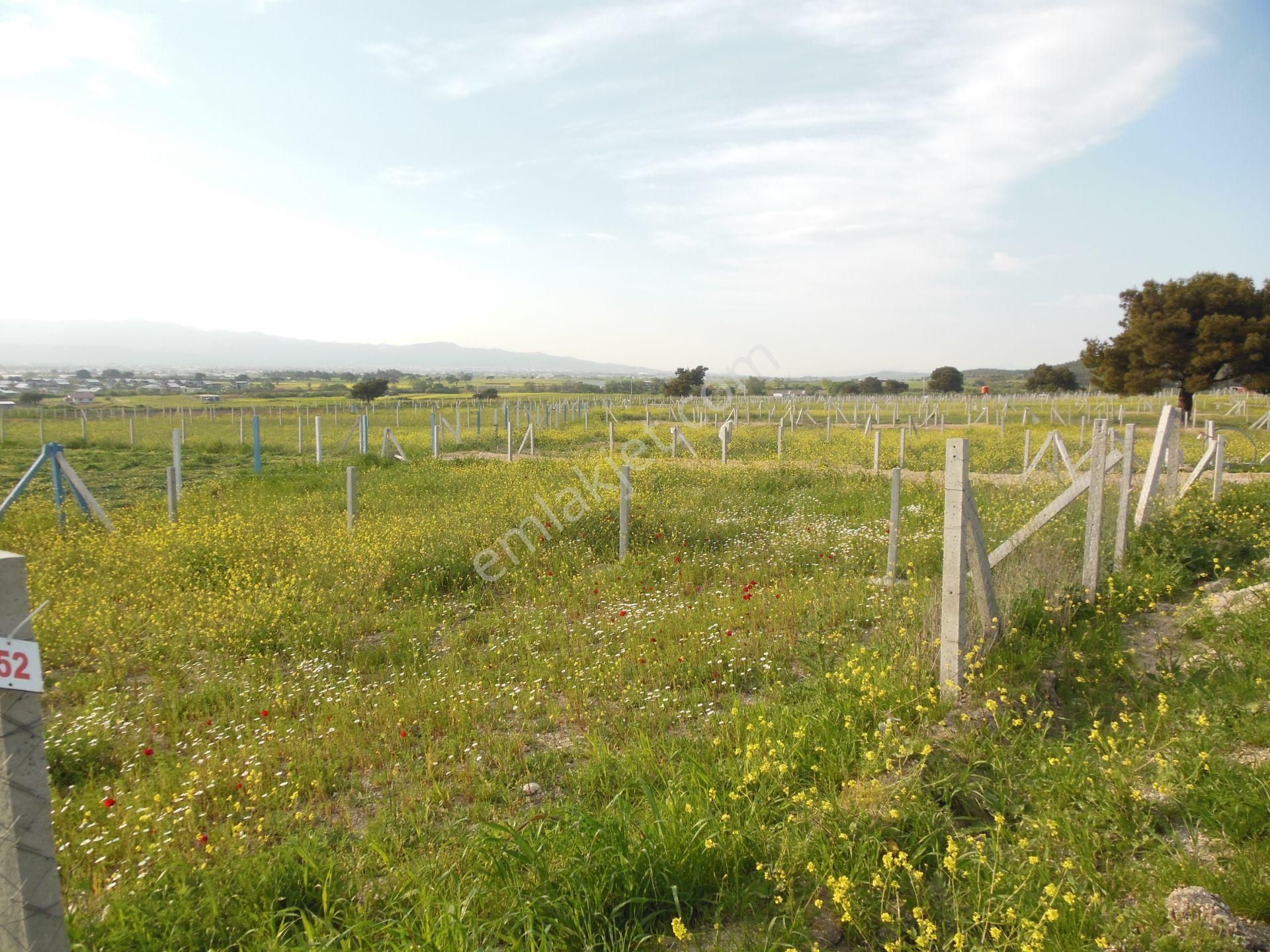 Bal Gayrimenkul- Elektrik Su Hazır Noter Satışlı 270 M2 Bahçe - Görsel 5