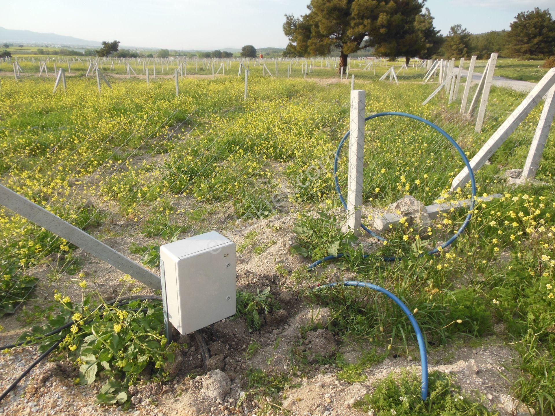 Bal Gayrimenkul- Elektrik Su Hazır Noter Satışlı 270 M2 Bahçe - Görsel 7