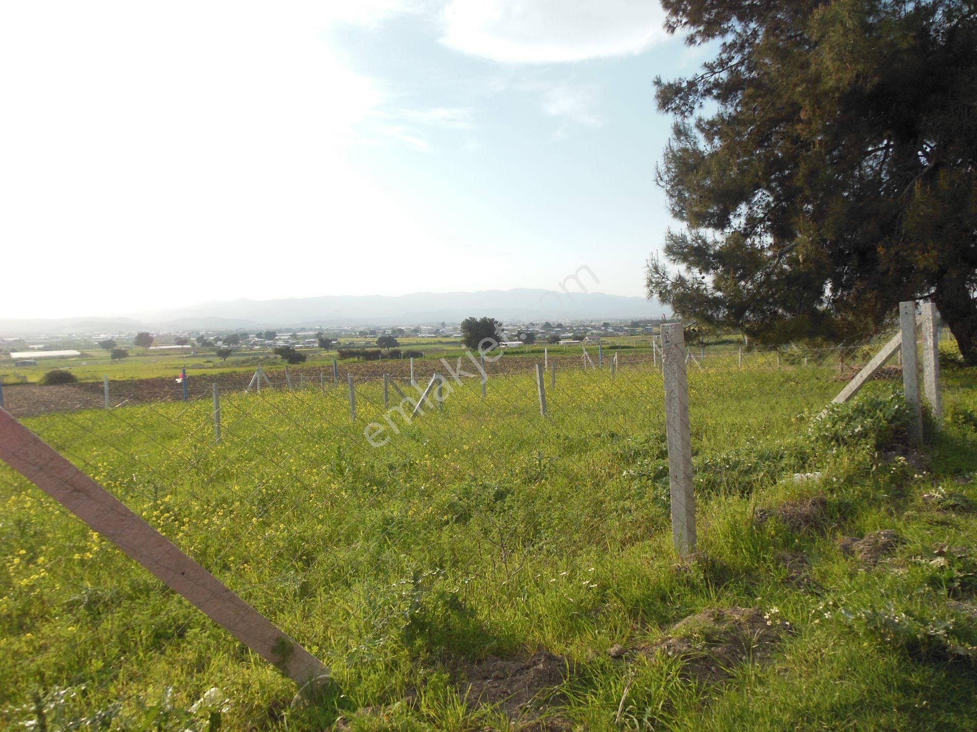 Bal Gayrimenkul- Elektrik Su Hazır Noter Satışlı 270 M2 Bahçe