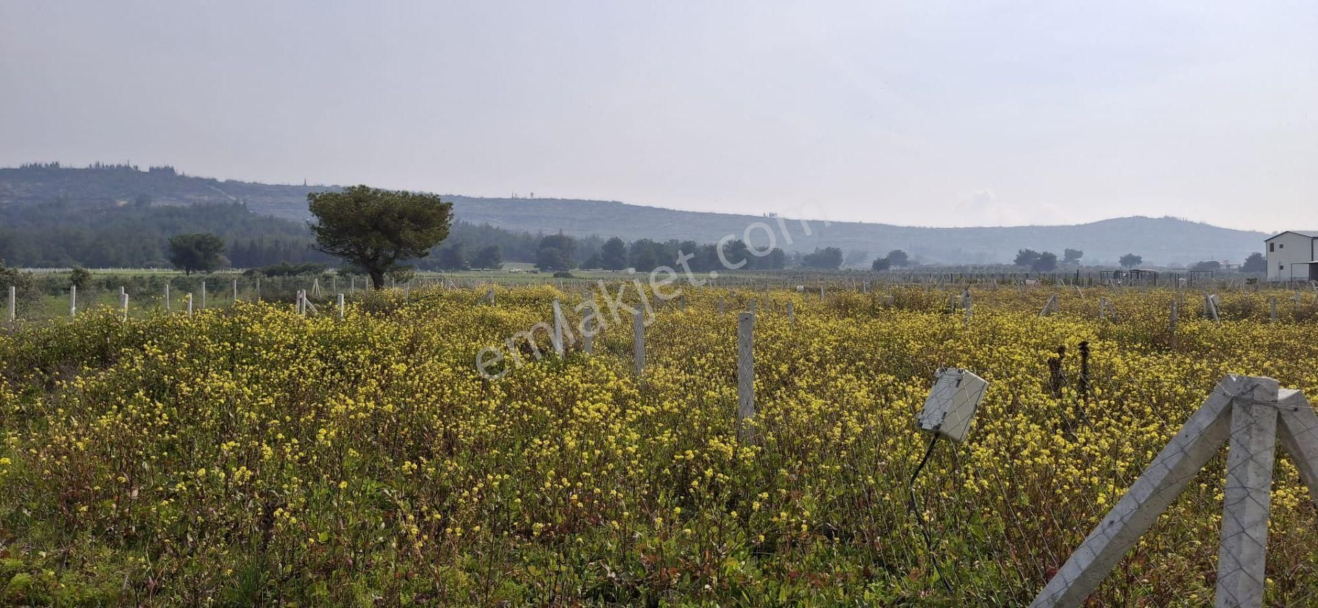 Bal Gayrimenkul- Elektrik Su Hazır Noter Satışlı 270 M2 Bahçe - Görsel 20