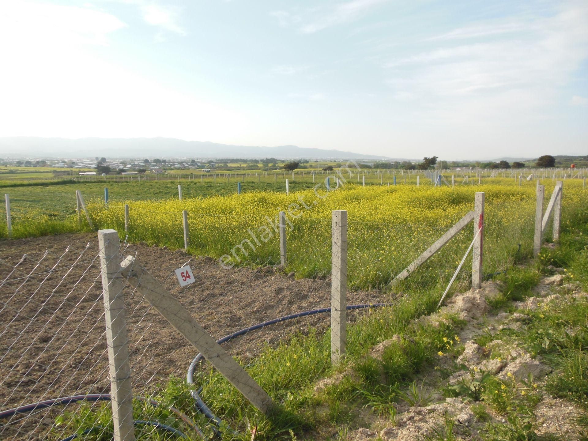 Bal Gayrimenkul- Elektrik Su Hazır Noter Satışlı 270 M2 Bahçe - Görsel 2