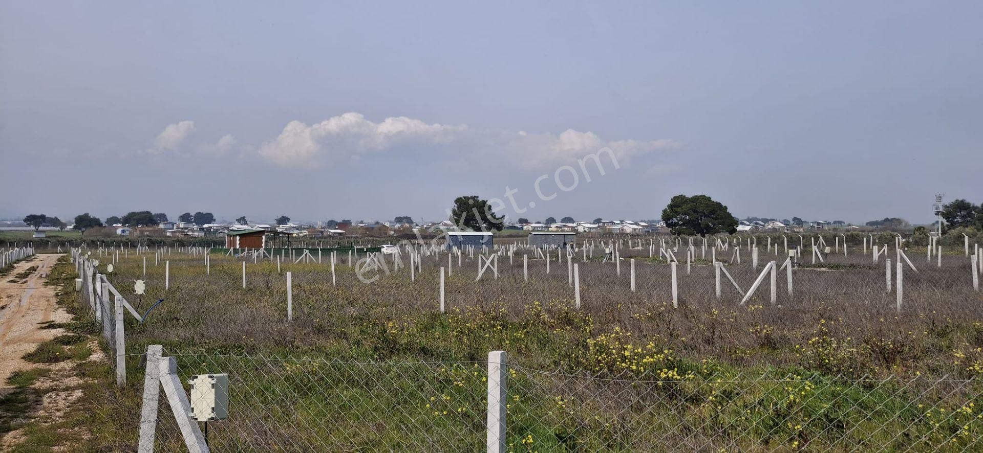 Bal Gayrimenkul- Elektrik Su Hazır Noter Satışlı 270 M2 Bahçe - Görsel 17