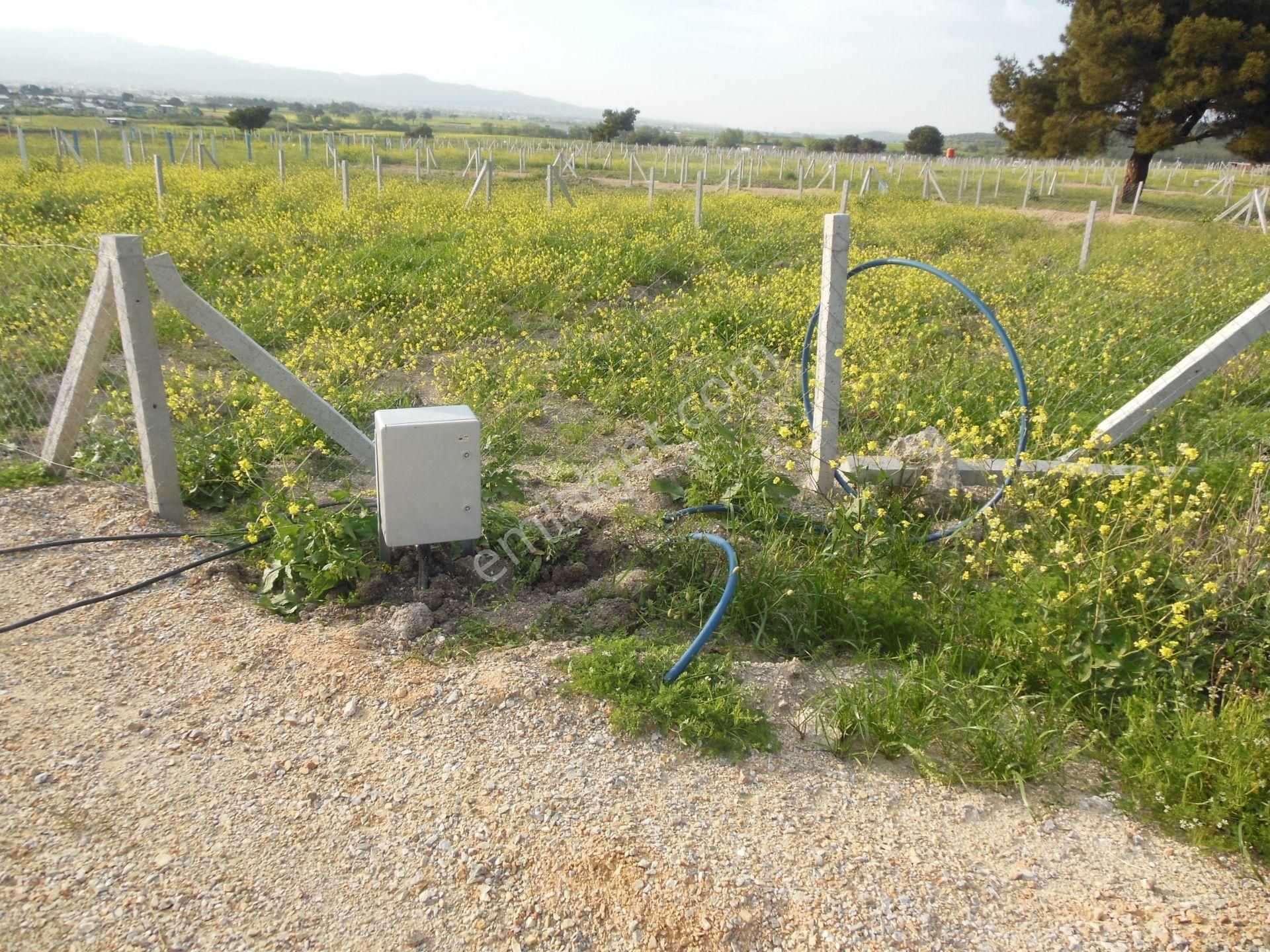 Bal Gayrimenkul- Elektrik Su Hazır Noter Satışlı 270 M2 Bahçe - Görsel 6