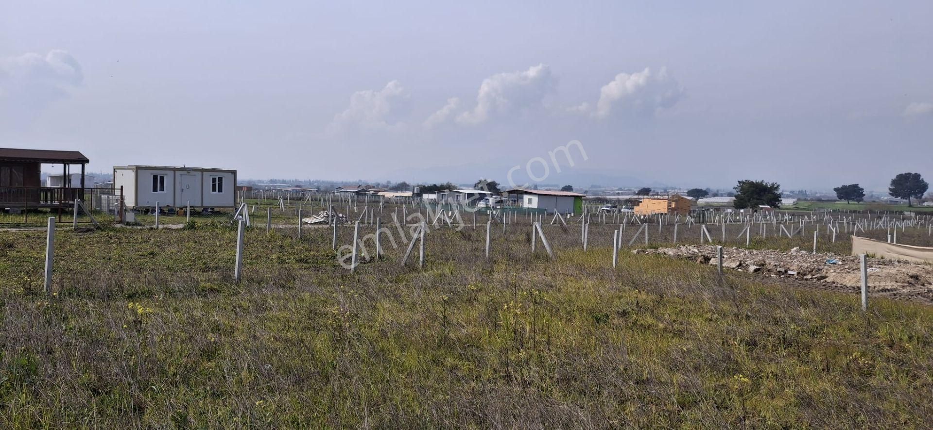 Bal Gayrimenkul- Elektrik Su Hazır Noter Satışlı 270 M2 Bahçe - Görsel 16