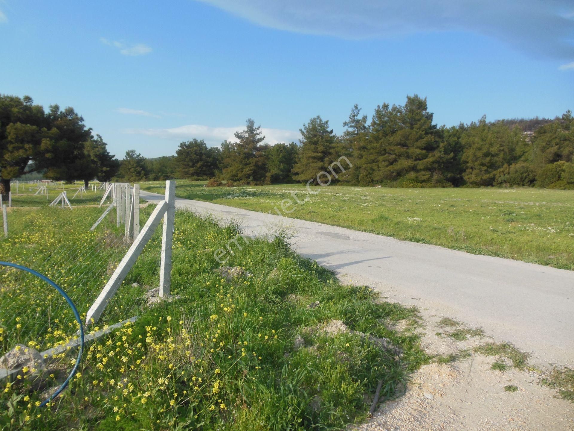 Bal Gayrimenkul- Elektrik Su Hazır Noter Satışlı 270 M2 Bahçe - Görsel 12