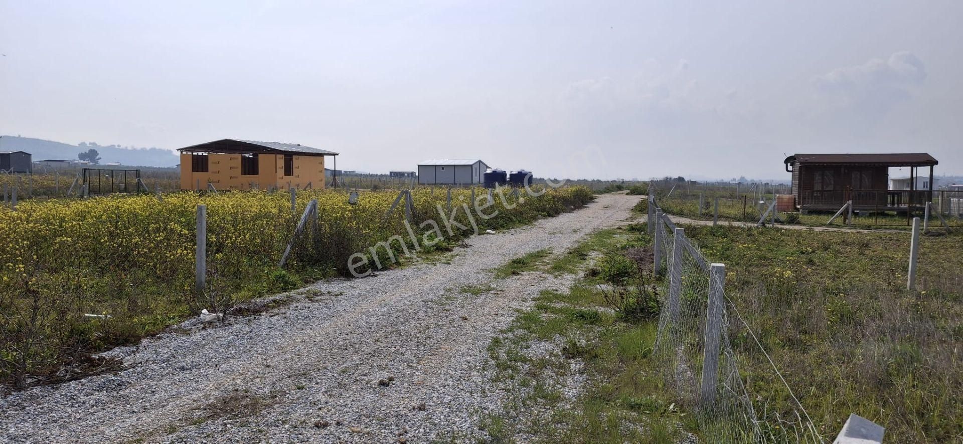 Bal Gayrimenkul- Elektrik Su Hazır Noter Satışlı 270 M2 Bahçe - Görsel 15