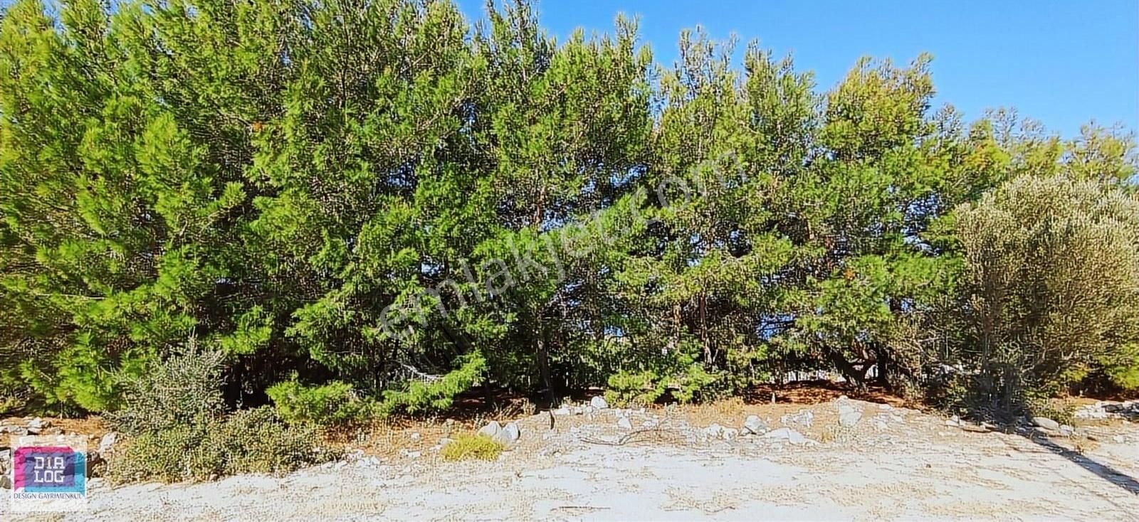 Çeşme Germiyan'da Deniz Manzaralı Satılık 251 M2 Tarla - Görsel 5