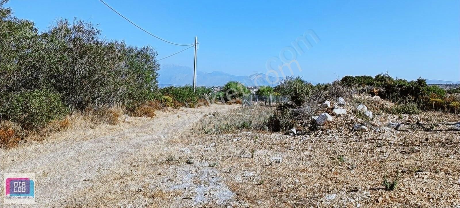 Çeşme Germiyan'da Deniz Manzaralı Satılık 602 M2 Tarla - Görsel 5