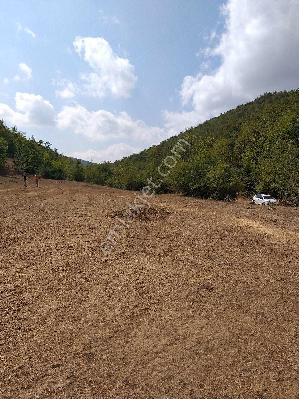 Bilecik Pazaryeri Karadede Köyü'nde Sahibinden Tarla