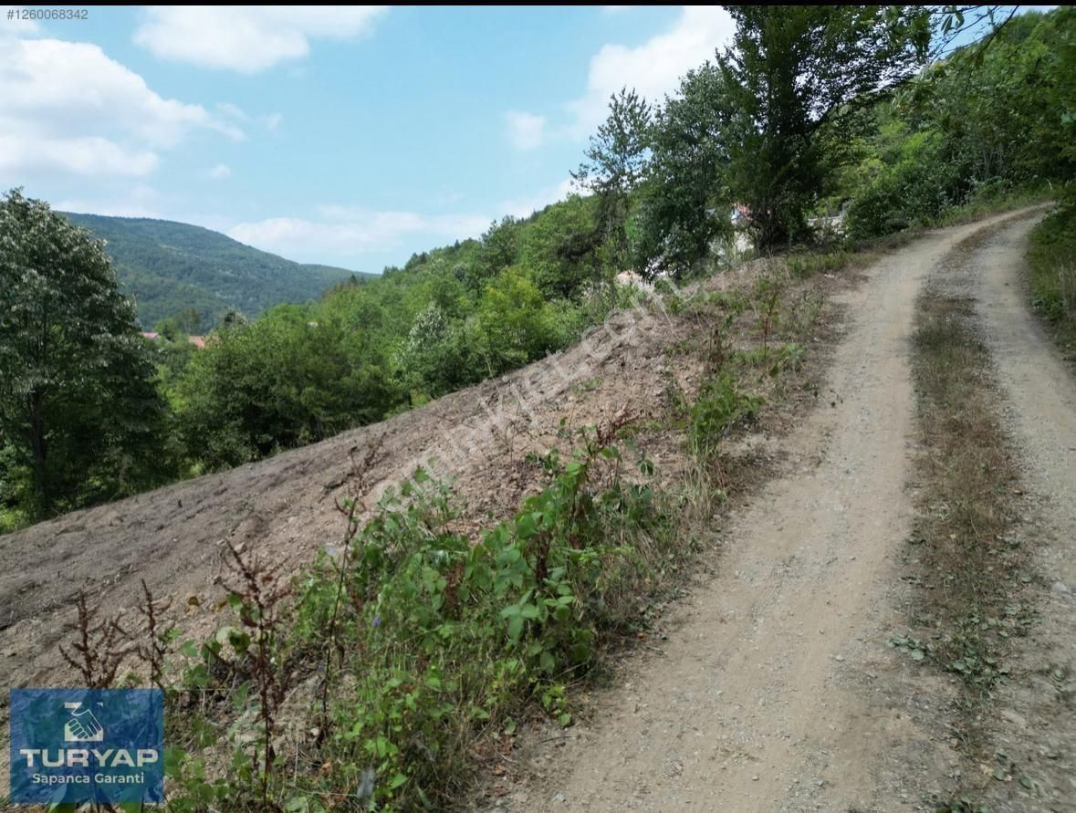 Turyaptan Sapanca İkramiyede İnşaata Hazır İmarlı Kupon Arsa - Görsel 23