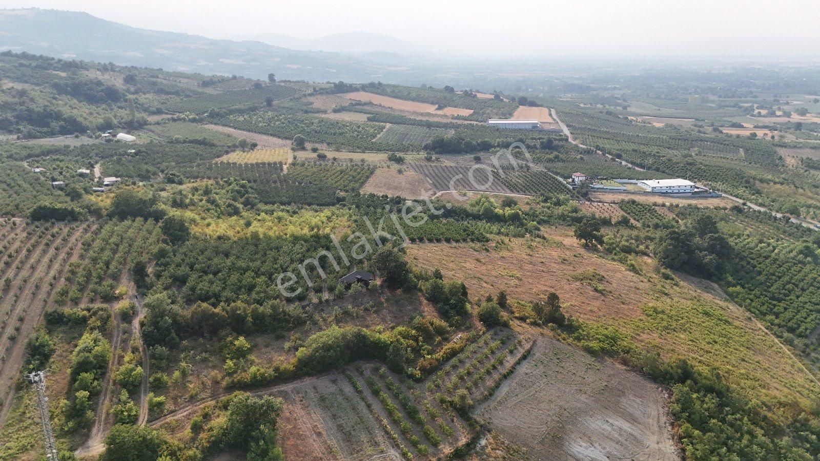 Antant Emlaktan İnegöl De Hobi Bahcesi - Görsel 3