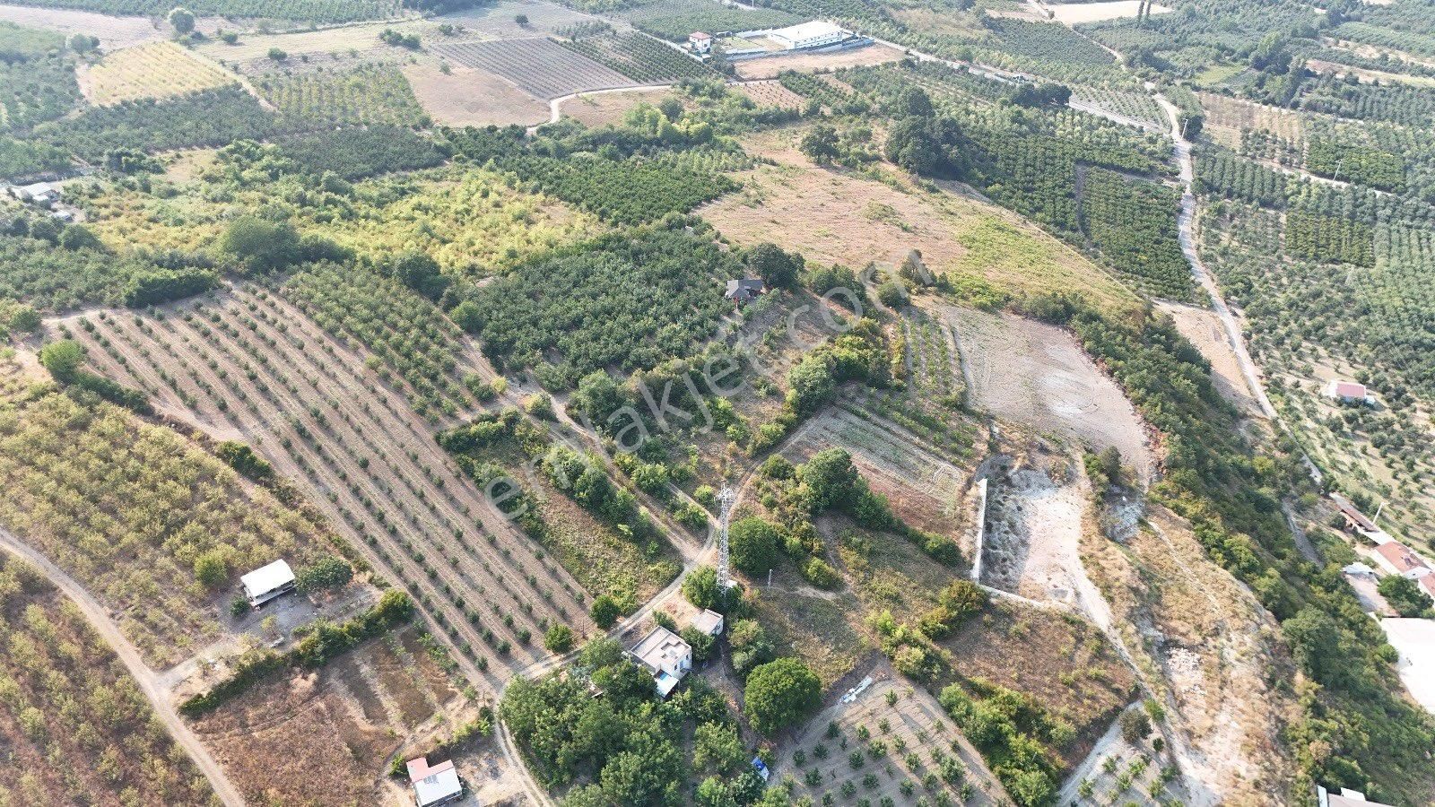 Antant Emlaktan İnegöl De Hobi Bahcesi - Görsel 2