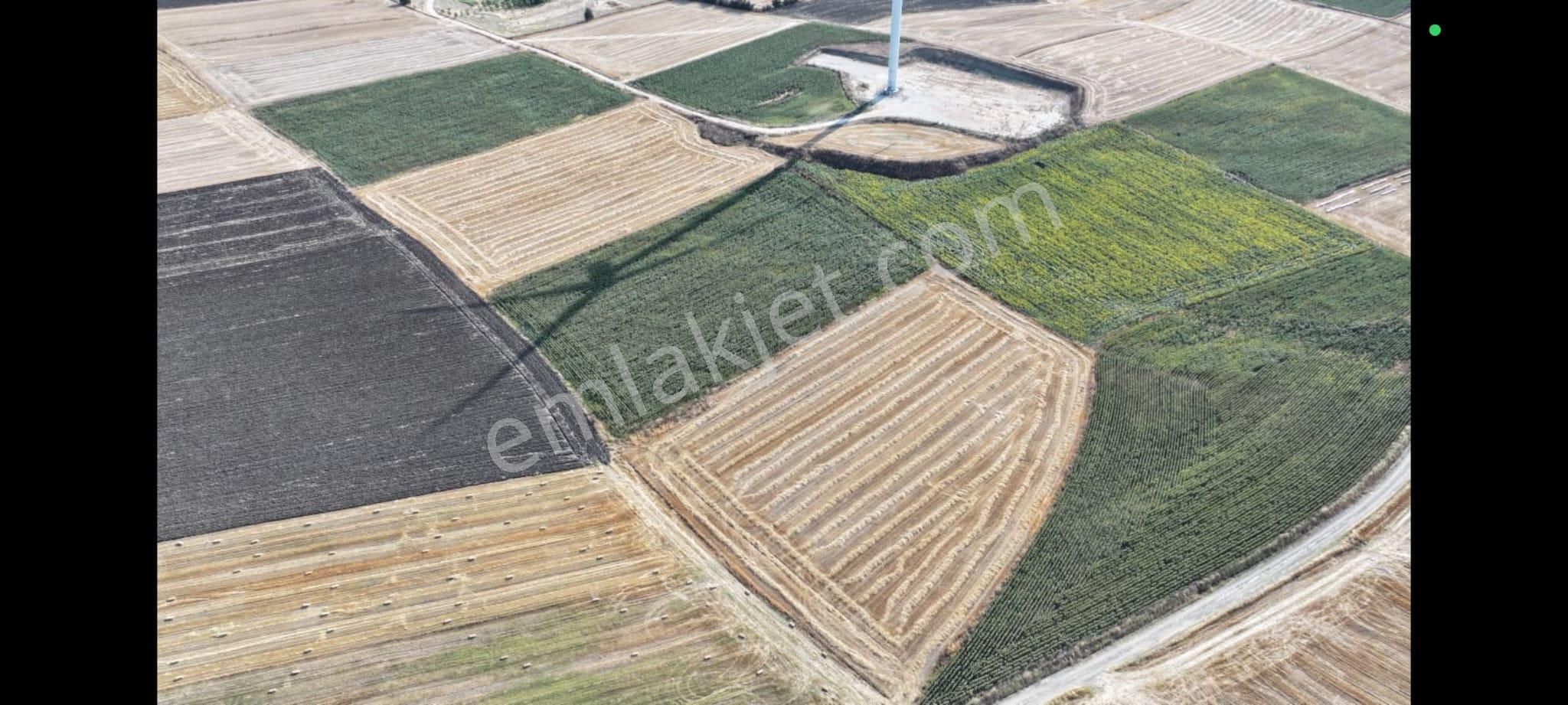 Silivri Fenerköy De 15.777 M2 Satılık Tarla