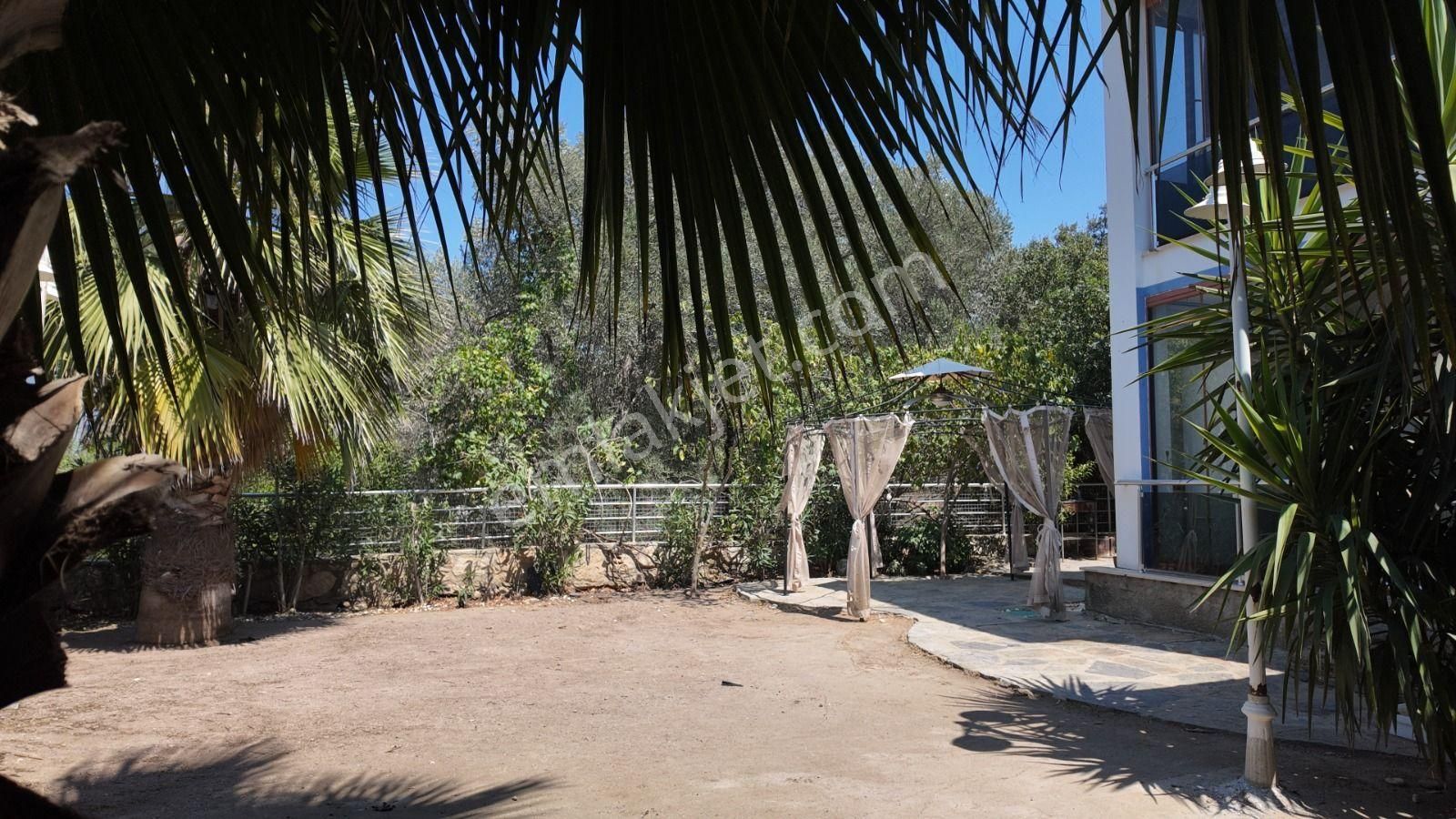 Bodrum Torba'da Merkezi Konumda Bahçe Katı Daire