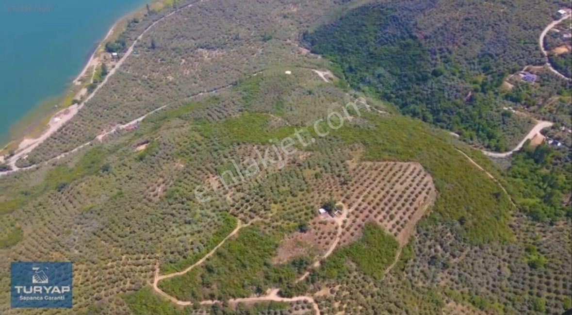 Turyaptan İznik Gölü Manzaralı Yatırıma Uygun Hesaplı Zeytinlik - Görsel 8