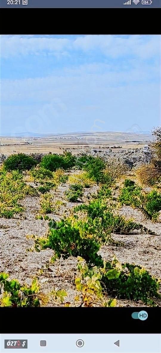 Süksün Hürriyette Yolu Olan Bağ