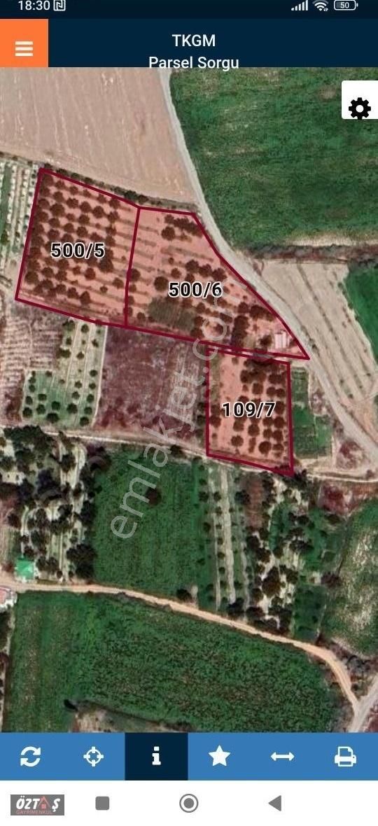 Yeşilhisar Dağılganda Üç Adet Bitişik Bağ - Görsel 10