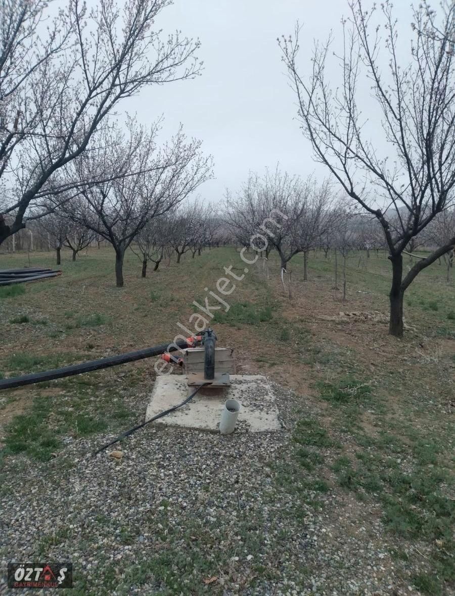 Yeşilhisar Dağılganda Üç Adet Bitişik Bağ - Görsel 3