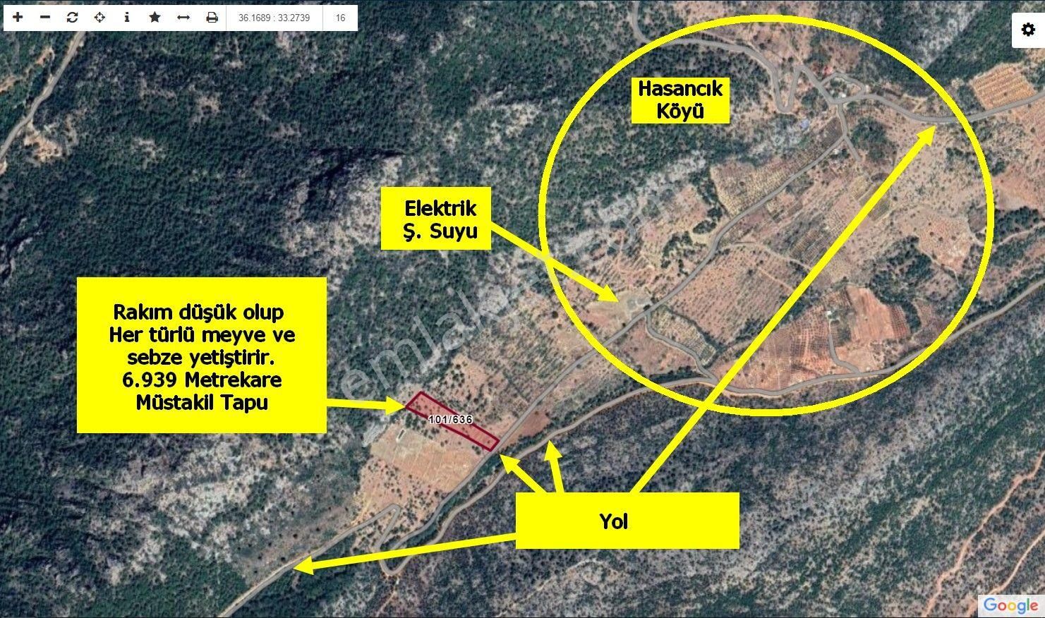 Satılık Keçiboynuzu Bahçesi 7 Dönüm - Görsel 12