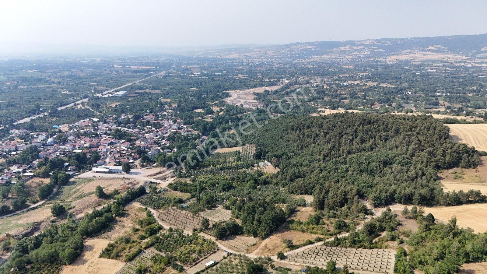 Antant Emlaktan İnegöl Hamallı Köyünde Hobi Bahçesi