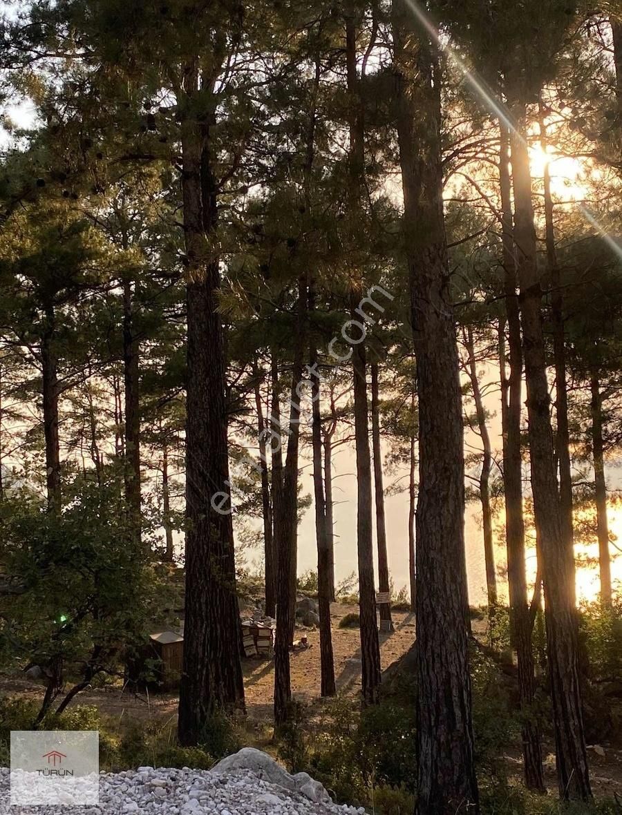 Fethiye Karağaçta 1083m2 Deniz Manzaralı Resmi Yollu Tarla - Görsel 8