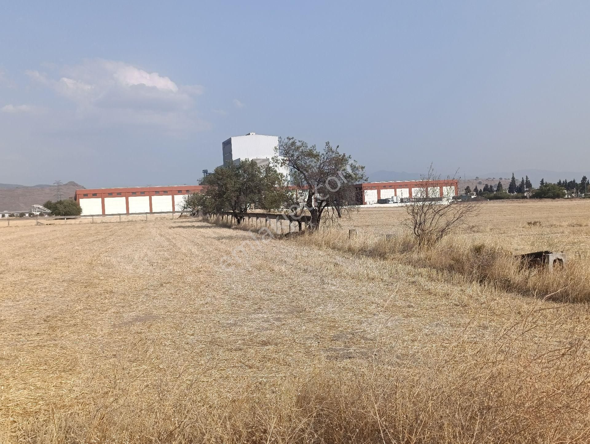 Rose Emlak’ Tan Satılık ,kupon ,uygun Fiyatlı Sanayi Arazileri - Görsel 10