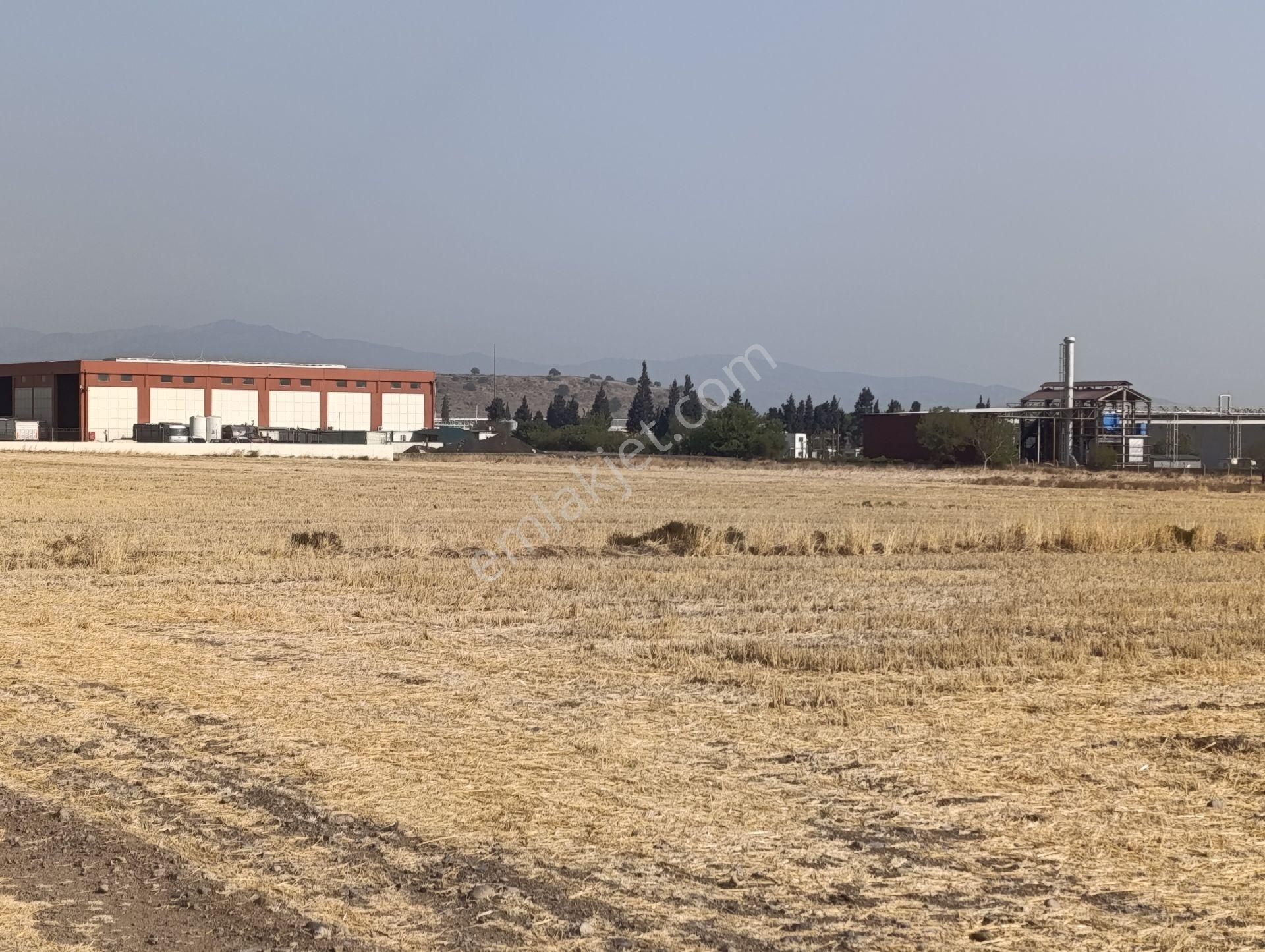 Rose Emlak’ Tan Satılık ,kupon ,uygun Fiyatlı Sanayi Arazileri - Görsel 4