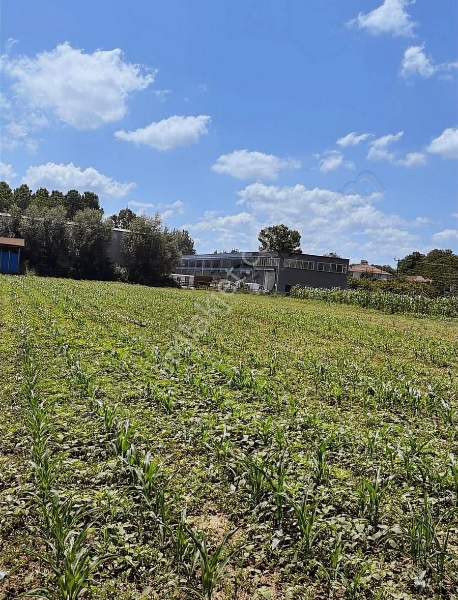 Kasdal Gayrimenkulden Çarşamba Sanai Sitesinde 5 Dükkanlık Arsa