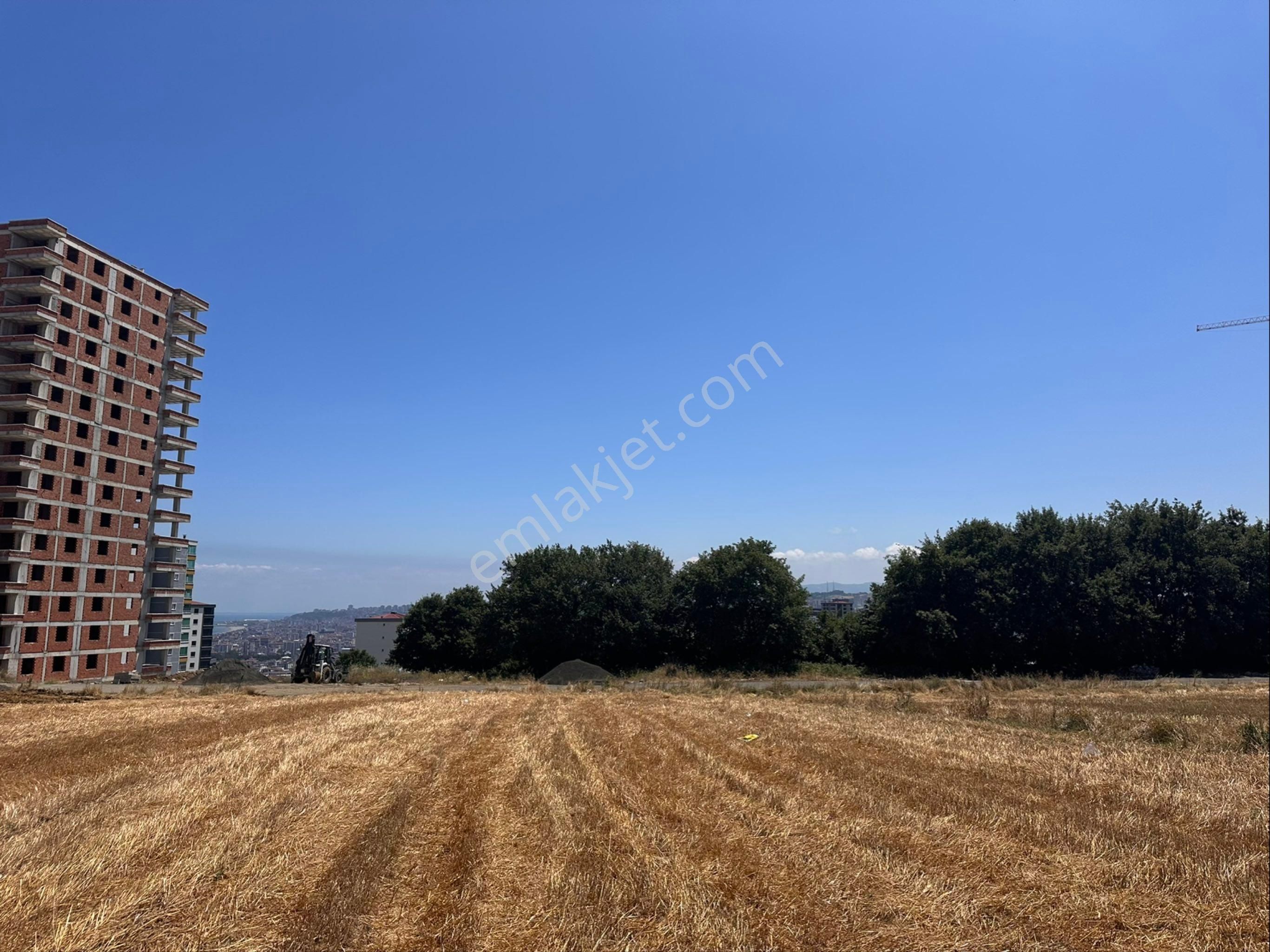 Talip ‘ Ten Alanlı ‘da Satılık 1468m2 Arsa