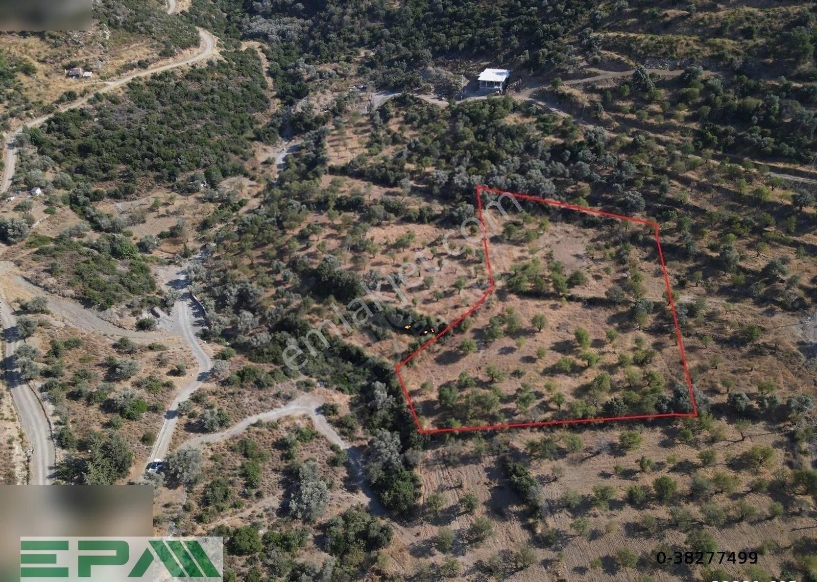 Epa Datça'dan Hızırşah'ta 6 Dönüm Kadastral Yolu Olan Tarla - Görsel 4