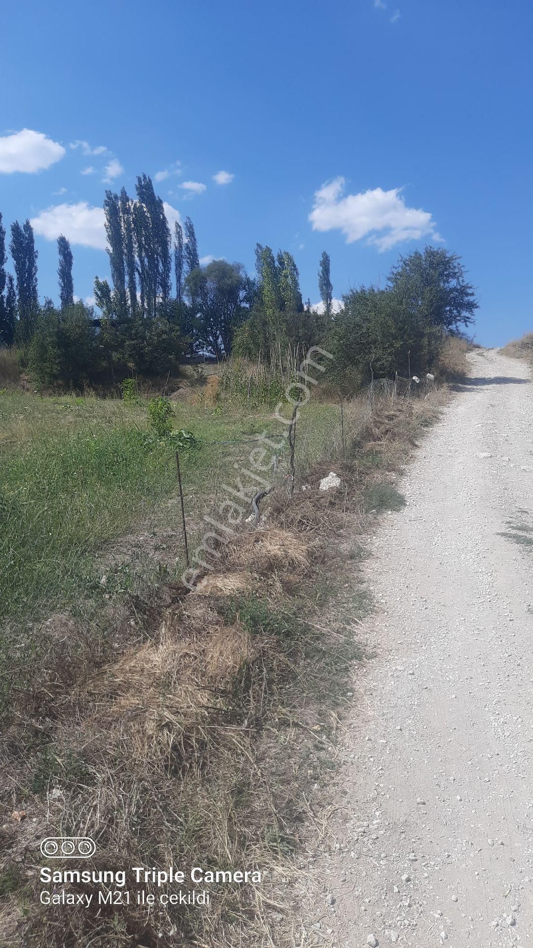 İbecik Yaylasında Kupon Yer - Görsel 11