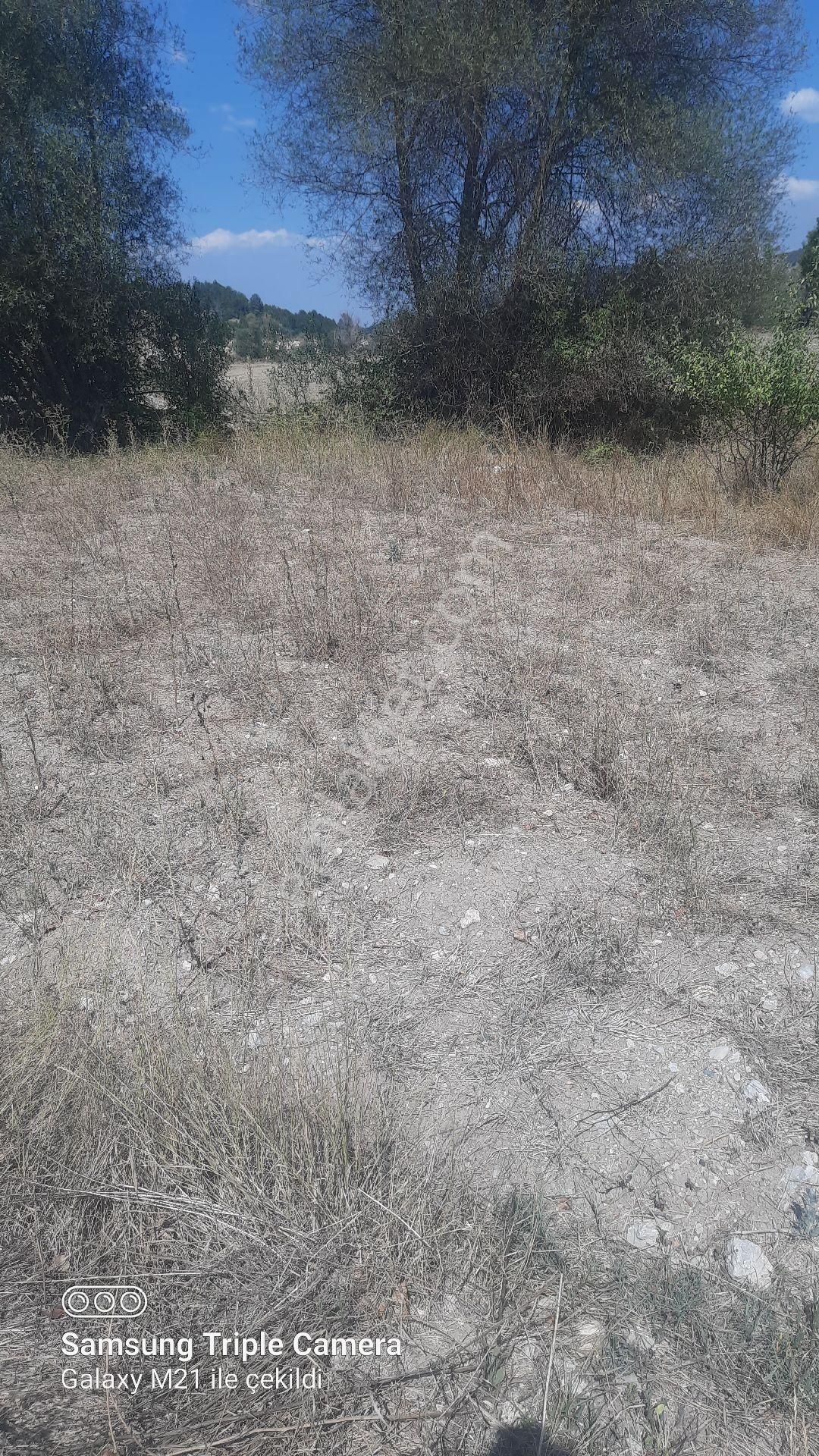 İbecik Yaylasında Kupon Yer - Görsel 13