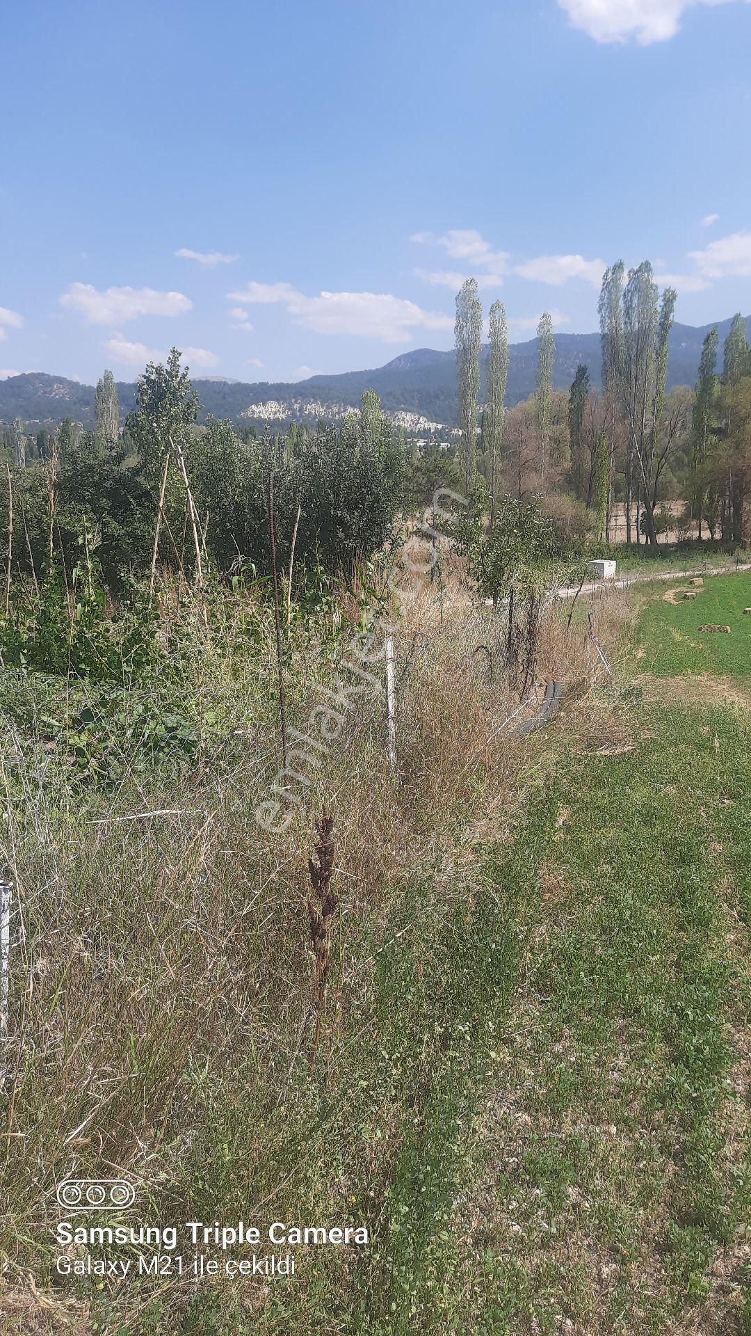 İbecik Yaylasında Kupon Yer - Görsel 21