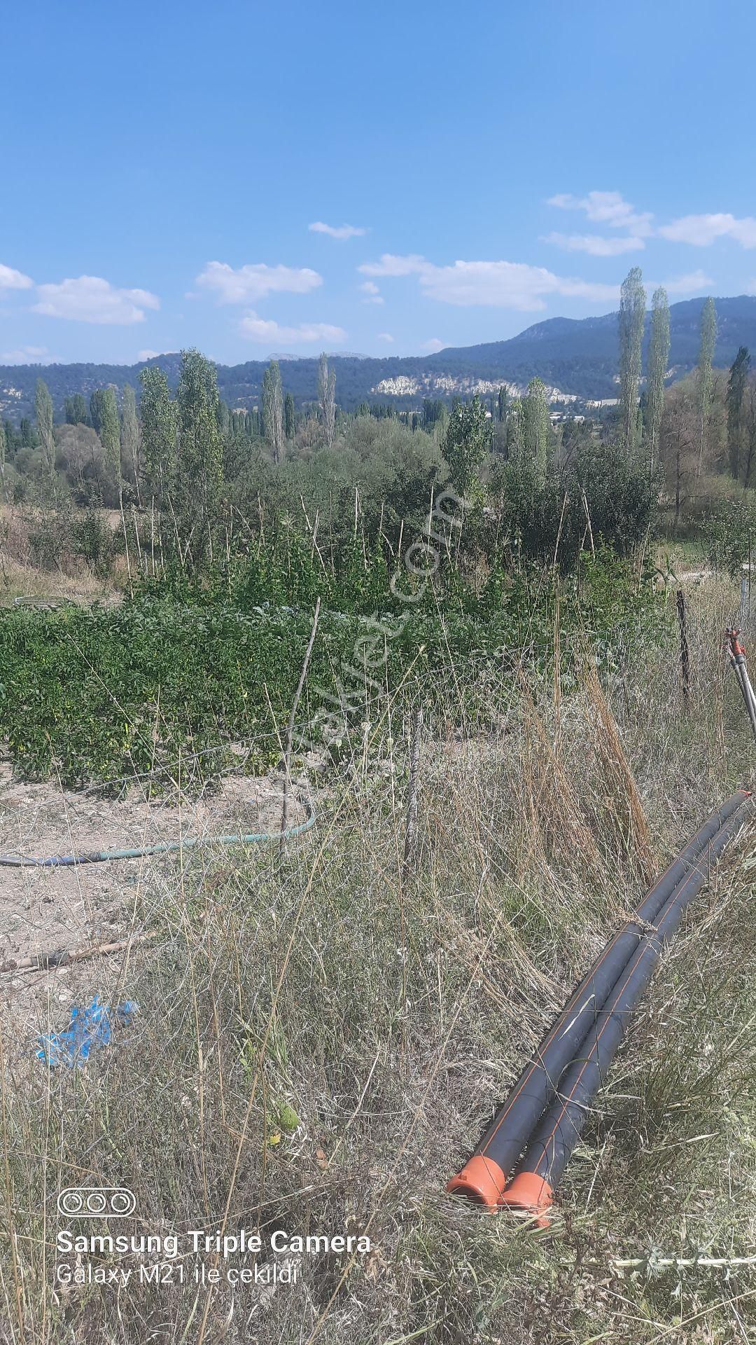 İbecik Yaylasında Kupon Yer - Görsel 20